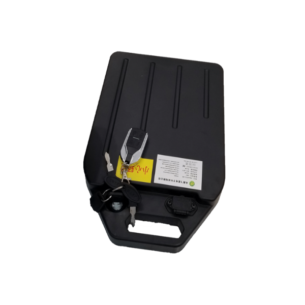 Batterie au lithium 20 Ah V 60 Citycoco