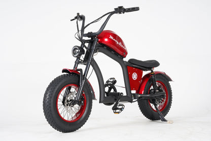 Fatbike Mini