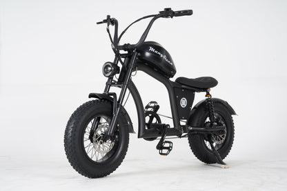 Fatbike Mini