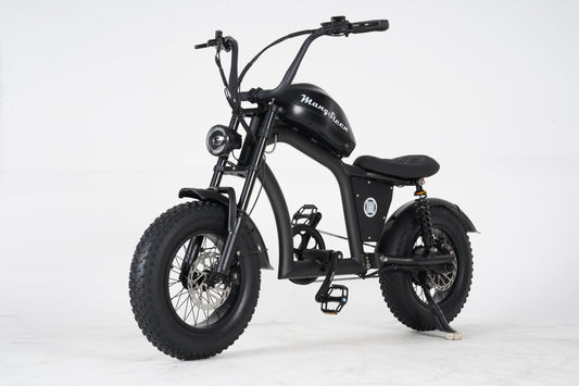 Fatbike Mini