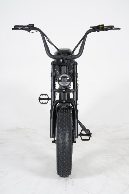 Fatbike Mini