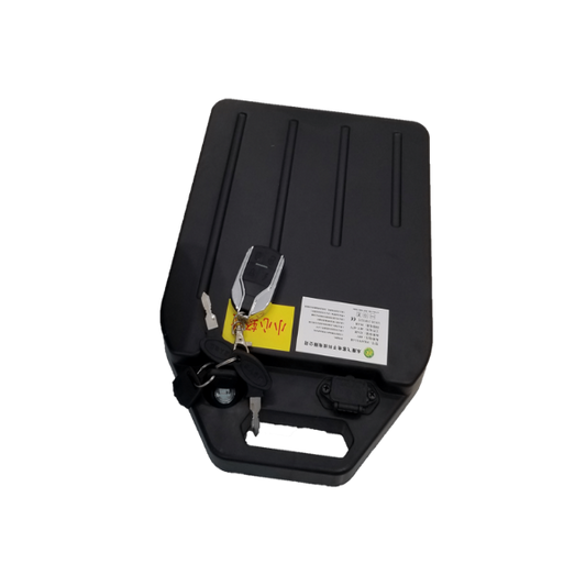 Lithium Akku 20 ah V 60 Citycoco