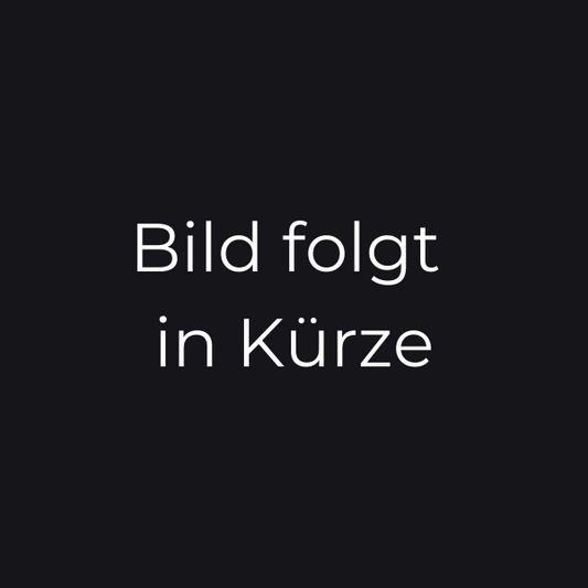 Sky Revenge Akku Fussfach