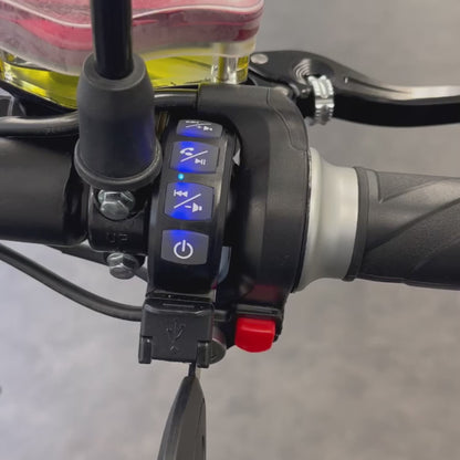 Premium Chopper (Mit Fahrausweis, 45 km/h)